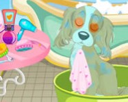Blondie Locks pet day at school online ovis játék